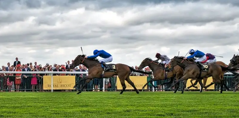 Horse Racing Dosage Index Finding Winners