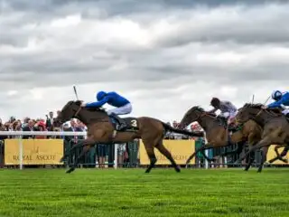 Horse racing dosage index