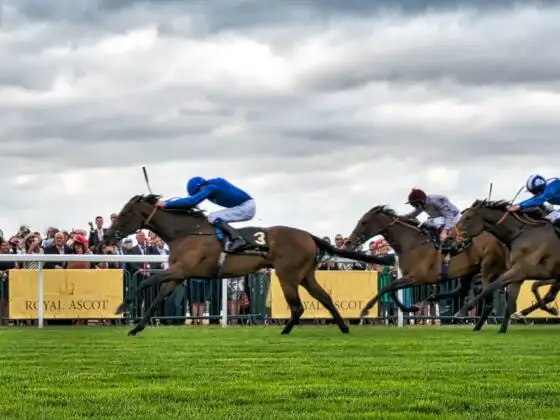 Horse racing dosage index