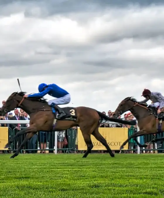 Horse racing dosage index