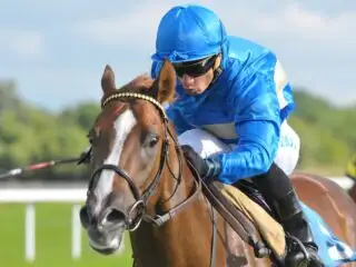 Well handicapped horses on the Flat in 2020