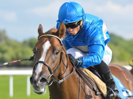Well handicapped horses on the Flat in 2020