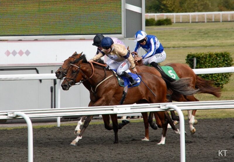 Hollie Doyle Jockeys Championship