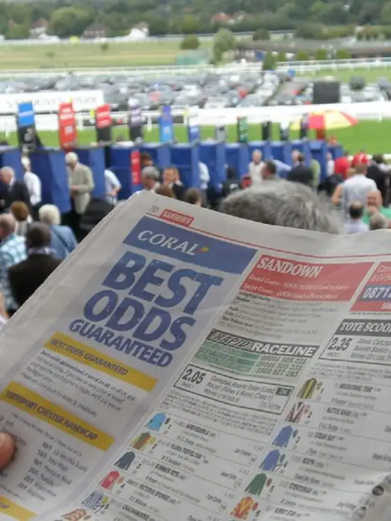 Profitable betting traits of a successful gambler