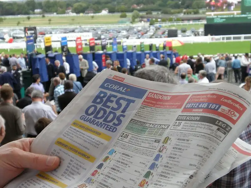 Profitable betting - traits of a successful gambler
