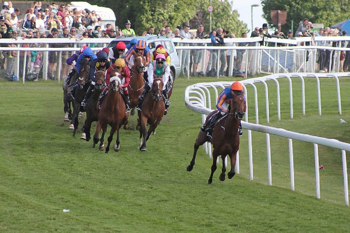 Epsom Derby Preview Bet4bettor Horse Racing Advice