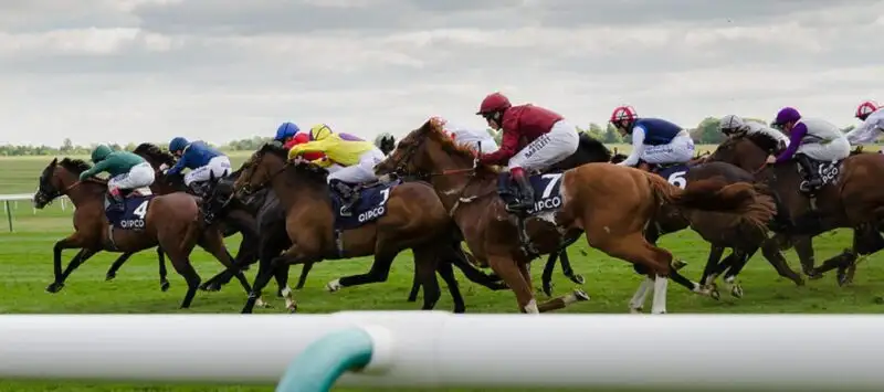 Guineas weekend 3-year-old handicap