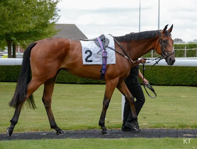 Race notes from week one of the Flat season