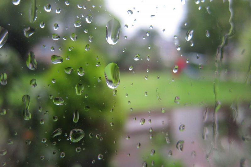 Heavy rain ahead of Ascot race meeting