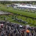 Opening day of the 2024 Flat season