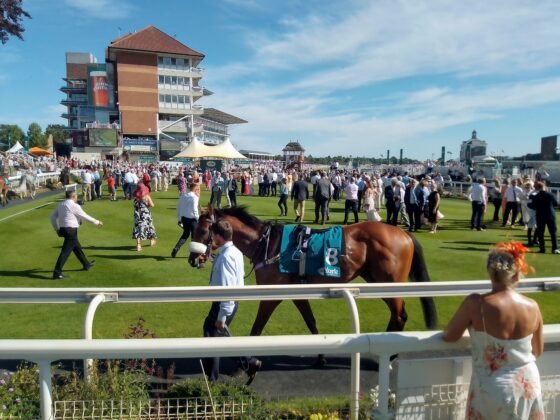 York Ebor meeting 2025 preview and tips